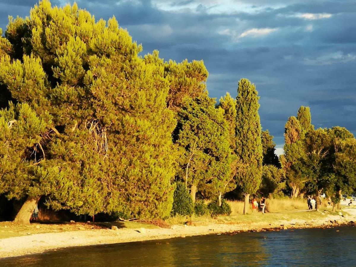 Apartments Dorde & Anna Fažana Εξωτερικό φωτογραφία